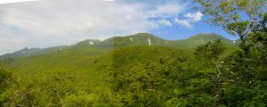 P005_羅臼岳下山道から見た知床連山