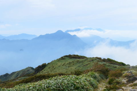 笹ヶ峰山頂から見た伊予富士･瓶ヶ森･石鎚山