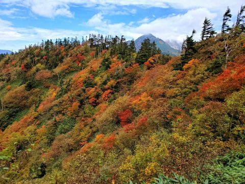 西穂山荘への縦走路からの紅葉