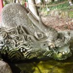 八坂神社の水盤には石造りの立派な竜の顔。