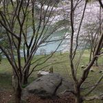 桜満開の行入ダム公園からスタートします。最終日、いい天気に恵まれました。