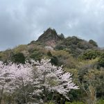 桜と岩山