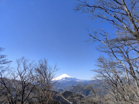 富士山が美しい