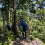 ナガレノ沢右岸尾根を通って下山