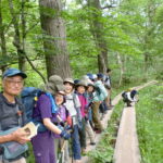 山の鼻に向かう木道で