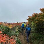 紅葉の真っ只中を登ります