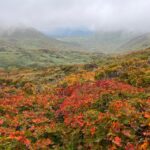 焼石岳を下る。東成瀬村方面