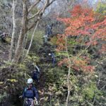 紅葉も楽しめた