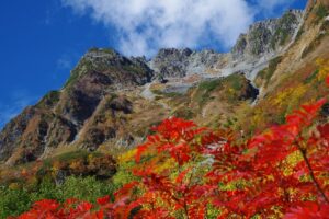 ２０２５年９月　(2)