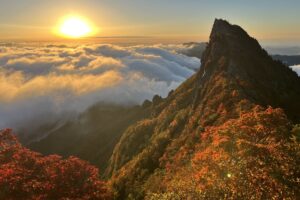 ２０２６年１月　(1)