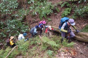 ２０２６年３月　(1)