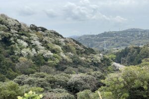 ２０２６年３月　(2)